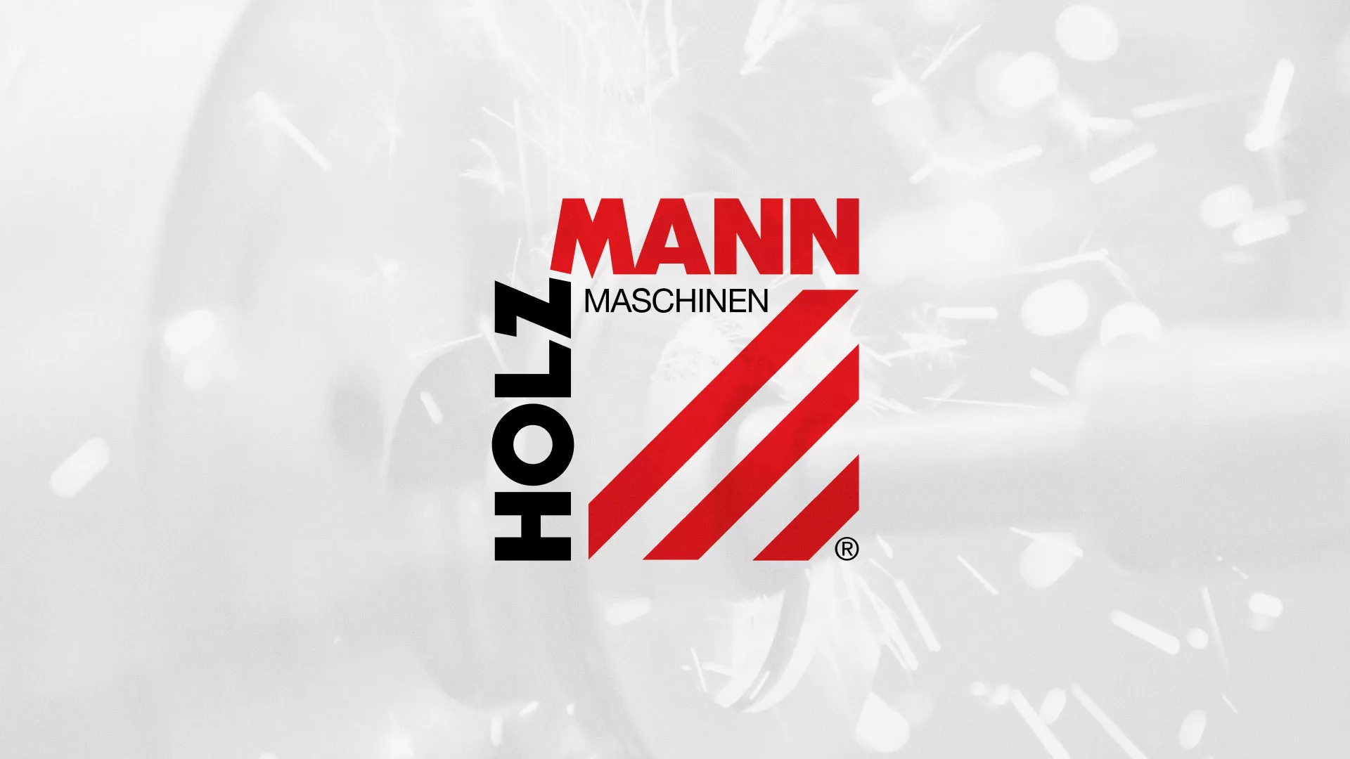 Создание сайта компании «HOLZMANN Maschinen GmbH» в Вёшках